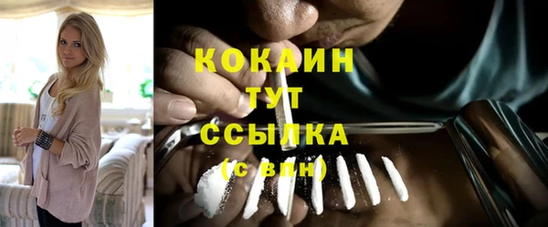индика Белокуриха