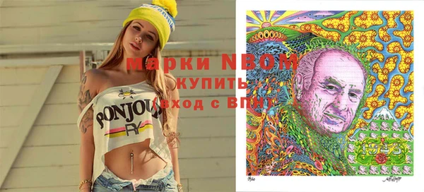 индика Белокуриха
