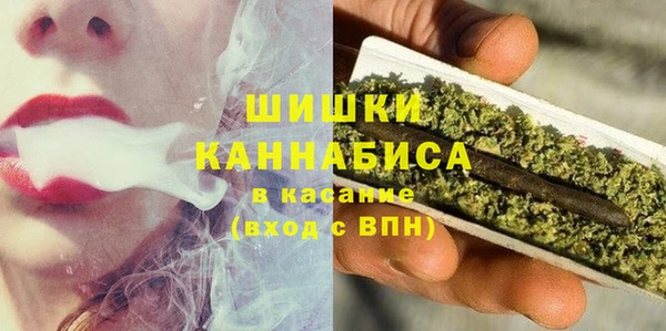индика Белокуриха
