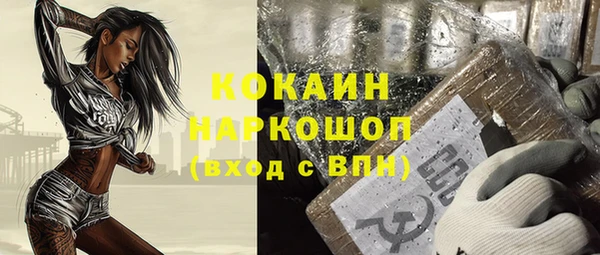 индика Белокуриха