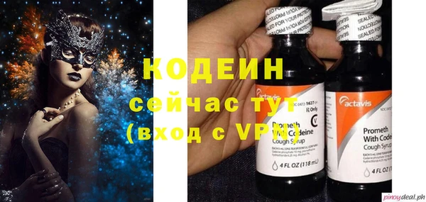 индика Белокуриха
