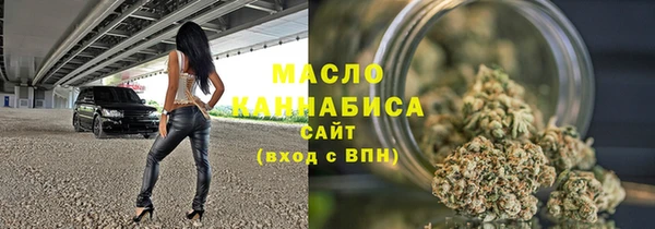индика Белокуриха