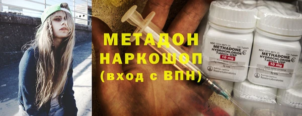 индика Белокуриха
