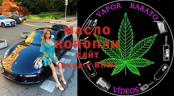индика Белокуриха