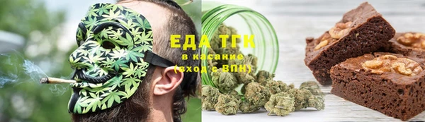 индика Белокуриха