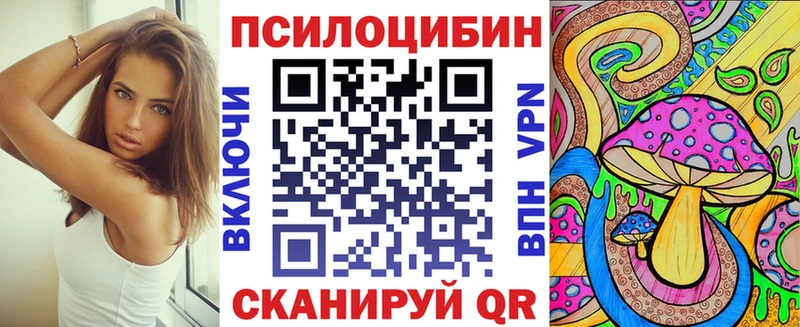 Псилоцибиновые грибы Cubensis  Красноуральск 